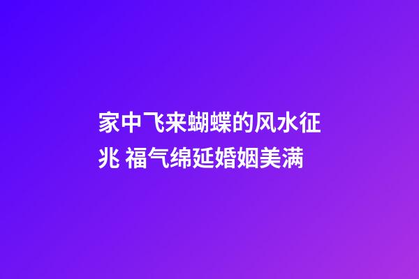 家中飞来蝴蝶的风水征兆 福气绵延婚姻美满